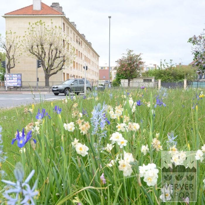 Kits 'Flora Livry-Gargan' © (11381) - Afbeelding 3